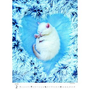 Fotografie k reklamnímu předmětu „Kalendář Koťátka“