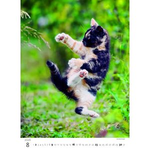 Fotografie k reklamnímu předmětu „Kalendář Koťátka“