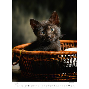 Fotografie k reklamnímu předmětu „Kalendář Koťátka“