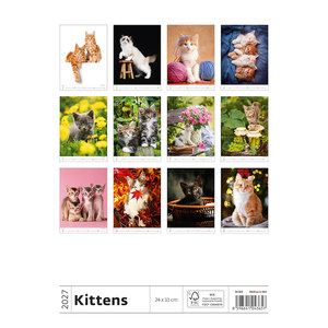 Fotografie k reklamnímu předmětu „Kalendář Koťátka“