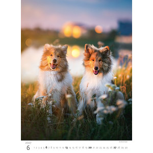 Fotografie k reklamnímu předmětu „Kalendář Štěňátka“