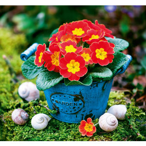 Fotografie k reklamnímu předmětu „Kalendář Kouzlo domova - vázanka“