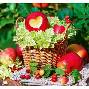 Fotografie k reklamnímu předmětu „Kalendář Kouzlo domova - vázanka“