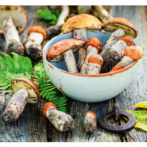 Fotografie k reklamnímu předmětu „Kalendář Kouzlo domova - vázanka“