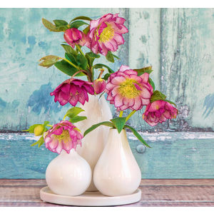 Fotografie k reklamnímu předmětu „Kalendář Kytice - vázanka“