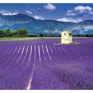 Fotografie k reklamnímu předmětu „Kalendář Provence - vázanka“