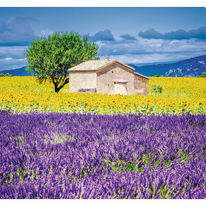 Fotografie k reklamnímu předmětu „Kalendář Provence - vázanka“