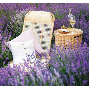 Fotografie k reklamnímu předmětu „Kalendář Provence - vázanka“
