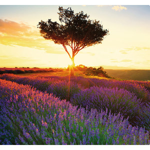 Fotografie k reklamnímu předmětu „Kalendář Provence - vázanka“