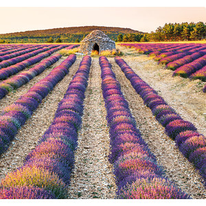 Fotografie k reklamnímu předmětu „Kalendář Provence - vázanka“