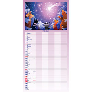 Fotografie k reklamnímu předmětu „MAXI rodinný plánovač“