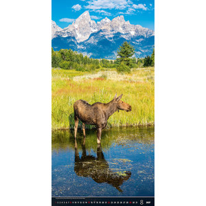 Fotografie k reklamnímu předmětu „Kalendář Verticalphoto“