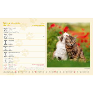 Fotografie k reklamnímu předmětu „Kalendář Kočky“