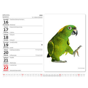 Fotografie k reklamnímu předmětu „Kalendář Mazlíčci“