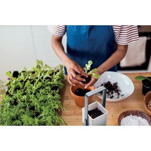 Fotografie k reklamnímu předmětu „Vnitřní zahrádka s LED světlem LUSHLET“