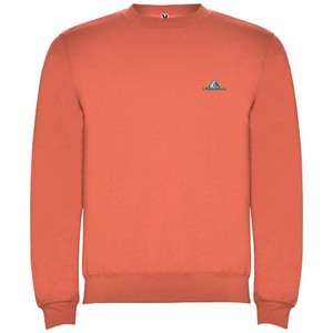 Fotografie k reklamnímu předmětu „Clasica dětský svetr s výstřihem crewneck 280 g/m²“