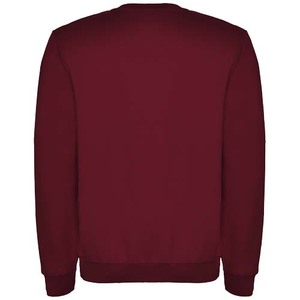 Fotografie k reklamnímu předmětu „Clasica dětský svetr s výstřihem crewneck“