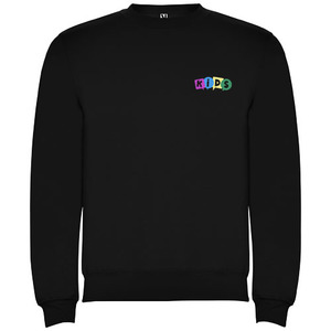 Fotografie k reklamnímu předmětu „Clasica dětský svetr s výstřihem crewneck“