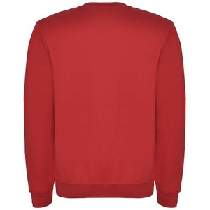 Fotografie k reklamnímu předmětu „Clasica dětský svetr s výstřihem crewneck“