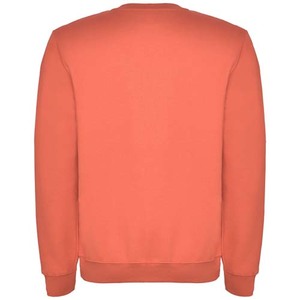 Fotografie k reklamnímu předmětu „Clasica unisex svetr s výstřihem crewneck 280 g/m²“