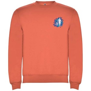 Fotografie k reklamnímu předmětu „Clasica unisex svetr s výstřihem crewneck 280 g/m²“