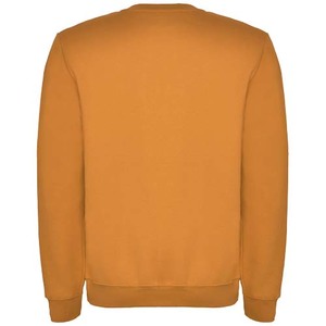 Fotografie k reklamnímu předmětu „Clasica unisex svetr s výstřihem crewneck 280 g/m²“