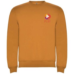 Fotografie k reklamnímu předmětu „Clasica unisex svetr s výstřihem crewneck“