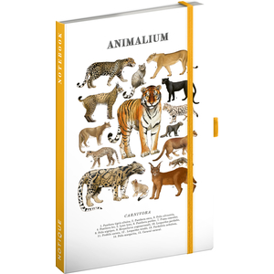 Fotografie reklamního předmětu „NOTIQUE Notes Animalium – Kočkovité šelmy, linkovaný, 13 x 21 cm“