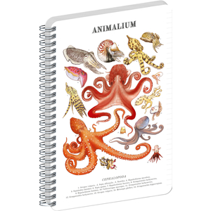 Fotografie reklamního předmětu „NOTIQUE Spirálový blok Animalium – Hlavonožci, linkovaný, A5“