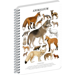Fotografie reklamního předmětu „NOTIQUE Spirálový blok Animalium – Psovité šelmy, linkovaný, A5“