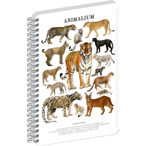 Fotografie reklamního předmětu „NOTIQUE Spirálový blok Animalium – Kočkovité šelmy, čtverečkovaný, A5“