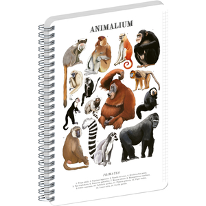 Fotografie reklamního předmětu „NOTIQUE Spirálový blok Animalium – Primáti, čtverečkovaný, A4“