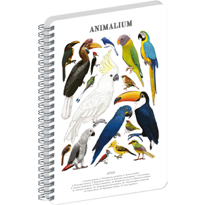 Fotografie reklamního předmětu „NOTIQUE Spirálový blok Animalium – Ptáci, čistý, A4“