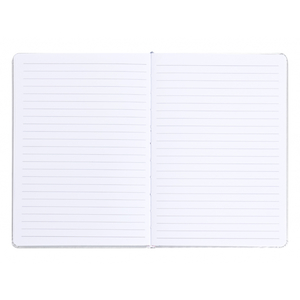 Fotografie k reklamnímu předmětu „BAAGL Notes NASA stříbrný“