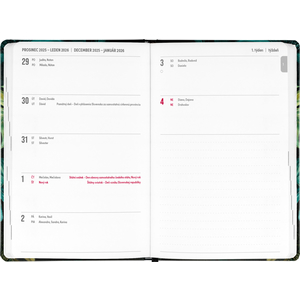 Fotografie k reklamnímu předmětu „NOTIQUE 18měsíční diář Petito – Monstera 2025/2026, 11 x 17 cm“