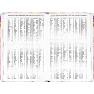 Fotografie k reklamnímu předmětu „NOTIQUE 18měsíční diář Petito – Růžový mramor 2025/2026, 11 x 17 cm“