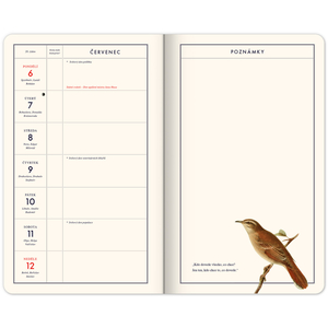 Fotografie k reklamnímu předmětu „NOTIQUE Zábavný kalendář Kateřiny Winterové 2026, 13 x 21 cm“