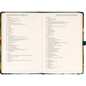Fotografie k reklamnímu předmětu „NOTIQUE Planbook diář/notes Kočka 2027, 13 x 21 cm“