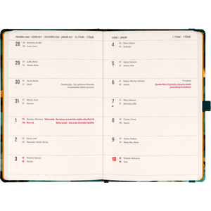 Fotografie k reklamnímu předmětu „NOTIQUE Planbook diář/notes Kočka 2027, 13 x 21 cm“