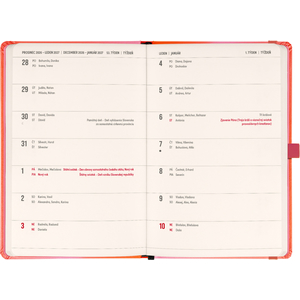 Fotografie k reklamnímu předmětu „NOTIQUE Planbook diář/notes Korál 2027, 13 x 21 cm“