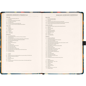 Fotografie k reklamnímu předmětu „NOTIQUE Planbook diář/notes Harry Potter –  Bradavický expres 2027, 13 x 21 cm“
