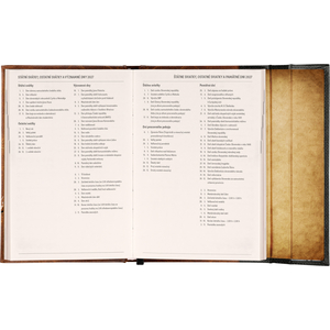 Fotografie k reklamnímu předmětu „NOTIQUE Týdenní magnetický diář Harry Potter – Relikvie smrti 2027, 11 x 16 cm“