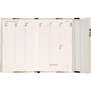 Fotografie k reklamnímu předmětu „NOTIQUE Magnetic weekly planner Michelangelo 2027, 11 x 16 cm“