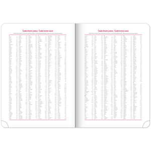 Fotografie k reklamnímu předmětu „NOTIQUE Denní diář Ajax 2026, zelený, 15 x 21 cm“