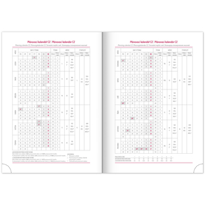 Fotografie k reklamnímu předmětu „NOTIQUE Denní diář Aprint Top 2026, tyrkysový, 15 x 21 cm“