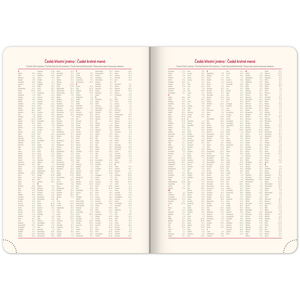 Fotografie k reklamnímu předmětu „NOTIQUE Denní diář Diamante 2026, olivový, 15 x 21 cm“