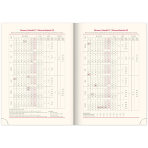 Fotografie k reklamnímu předmětu „NOTIQUE Denní diář Essenza 2026, káva, 15 x 21 cm“