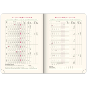 Fotografie k reklamnímu předmětu „NOTIQUE Denní diář Twill 2026, bordó-zlatý, 15 x 21 cm“