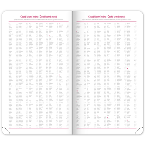 Fotografie k reklamnímu předmětu „NOTIQUE Kapesní diář Ajax 2027, zlatý, 9 x 15,5 cm“