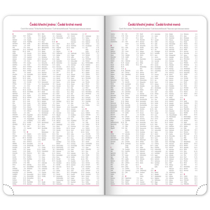 Fotografie k reklamnímu předmětu „NOTIQUE Kapesní diář Aprint Top 2026, petrolejový, 9 x 15,5 cm“